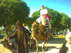 Camel Tour