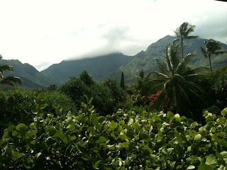 Hanalei, the crown jewel of Hawaii