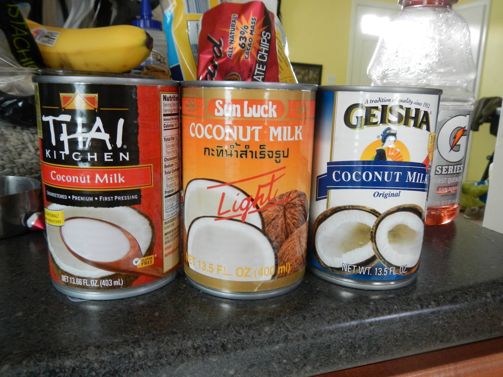 The Reinert Adventures Paleo Diet Chocolate Custard