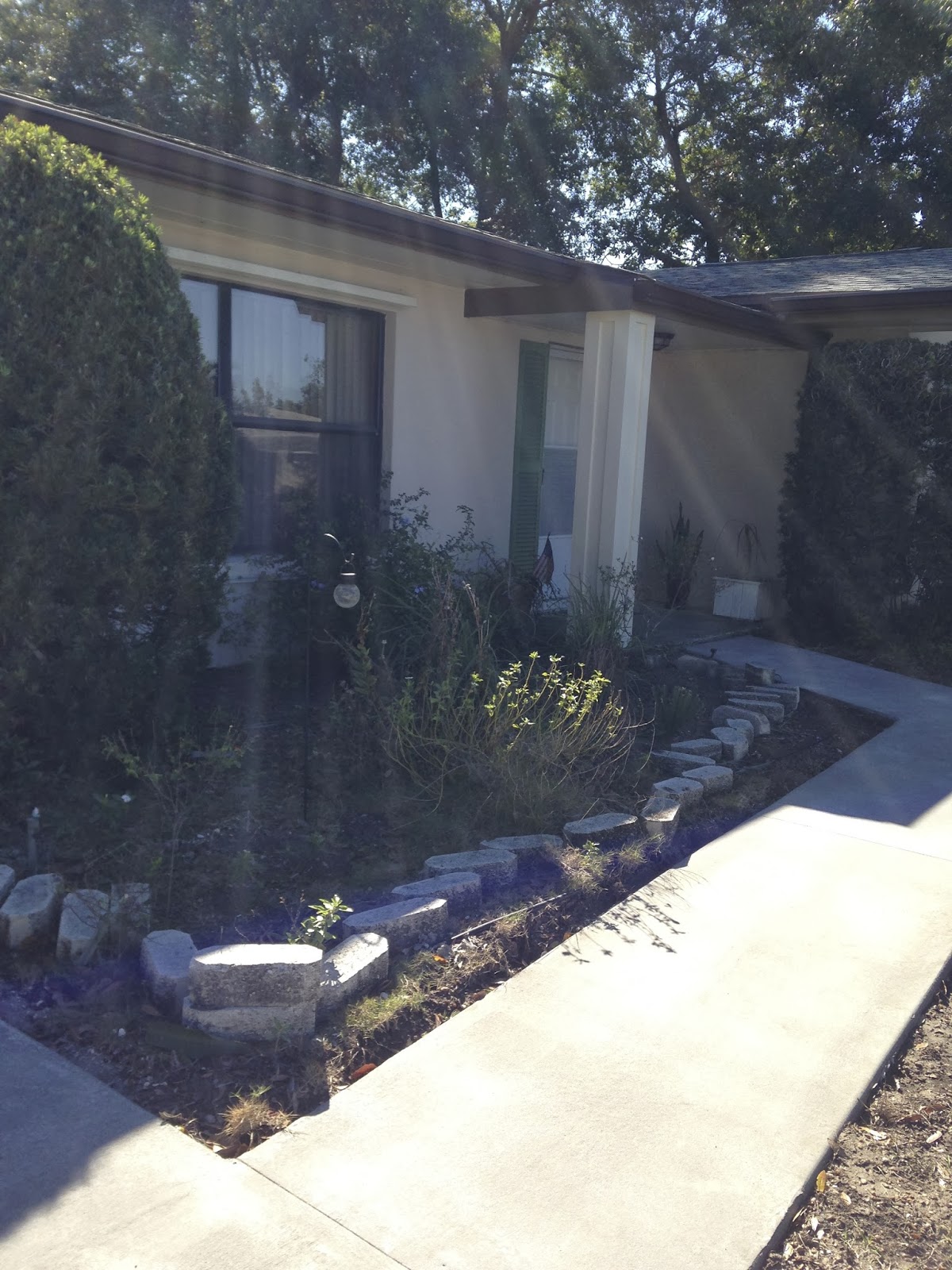 The Frugal Mennonite Rehabbing The Dooryard Garden