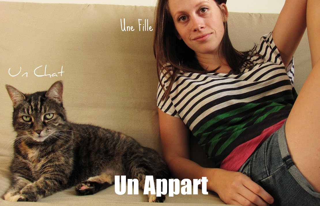 Un Chat Une Fille Un Appart