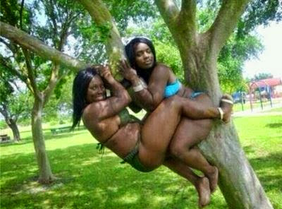 ladies on tree