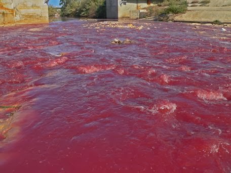 La "mer rouge" du fleuve de Beyrouth (Nahr Beyrouth), la veille des fêtes de fin d'année en décembre 2007! Les abattoirs, les égouts et les industriels en amont déversent leurs détritus en toute liberté, en toute impunité et en toute saison dans le fleuve de Beyrouth. Jusqu'à quand?