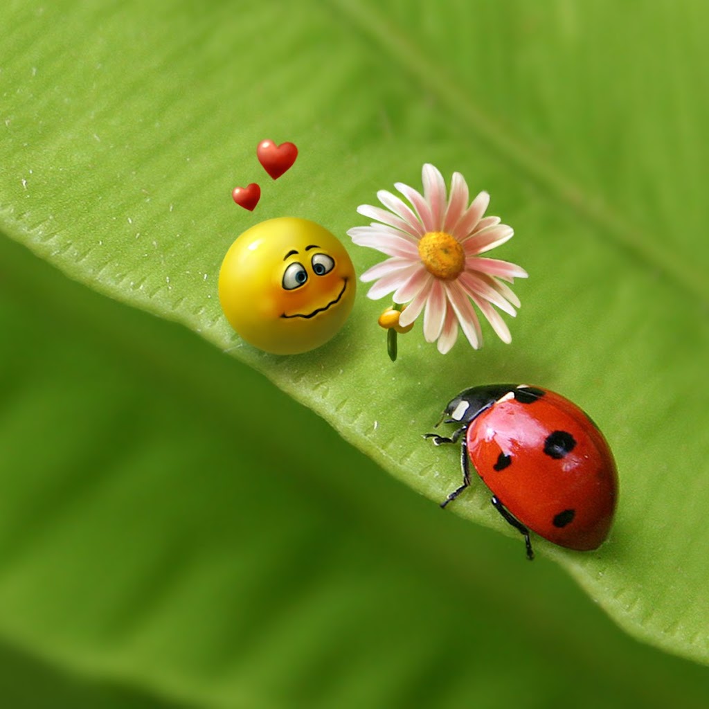 Free Download Cute Love Wallpapers For Mobile Free Download Cute Love Wallpapers For Mobile