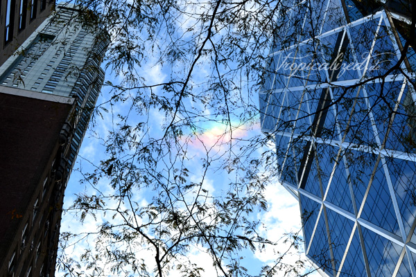 New York City November 2012 Himmel Regenbogen Äste