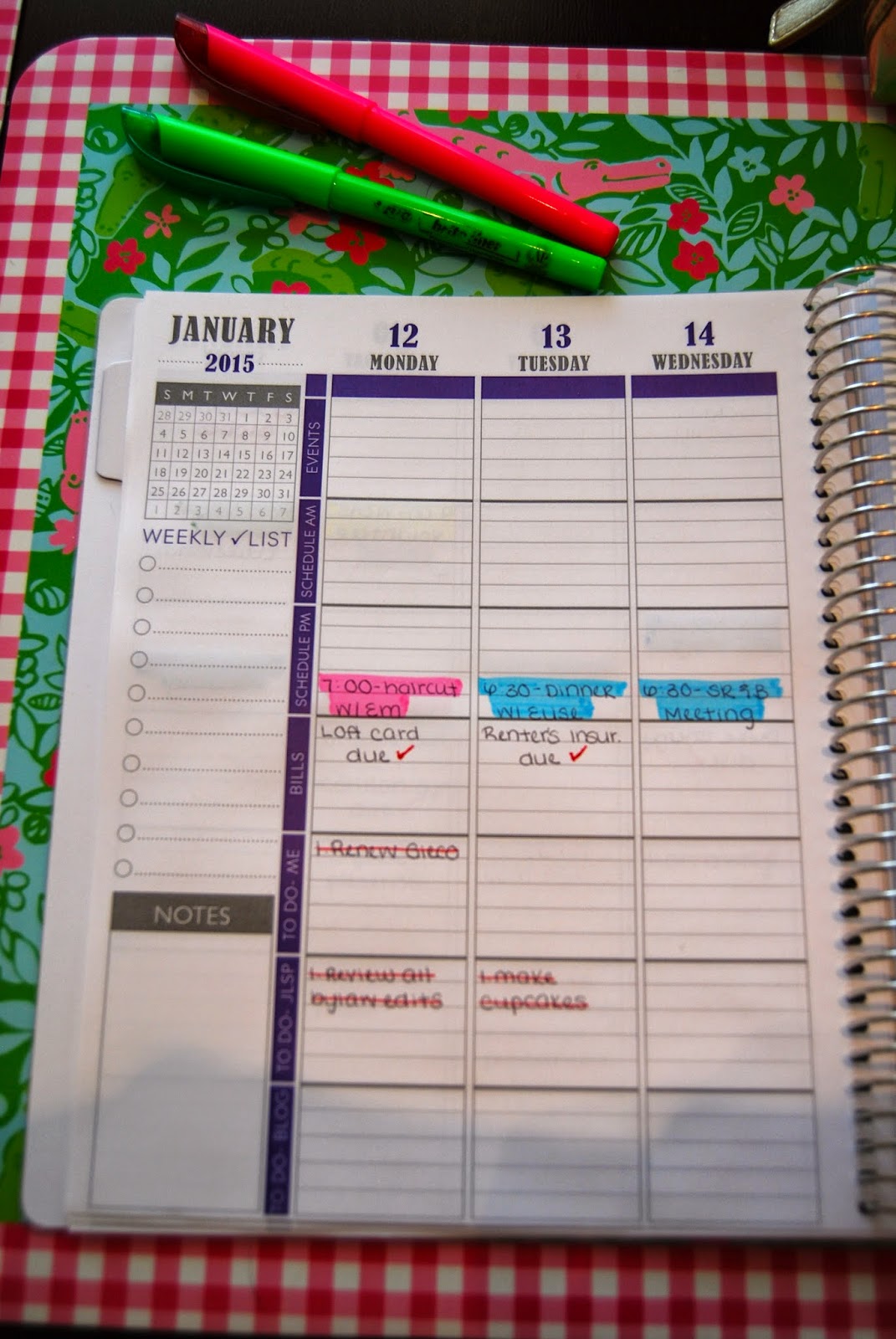 Plum Paper Planner Review Girl Meets Bow