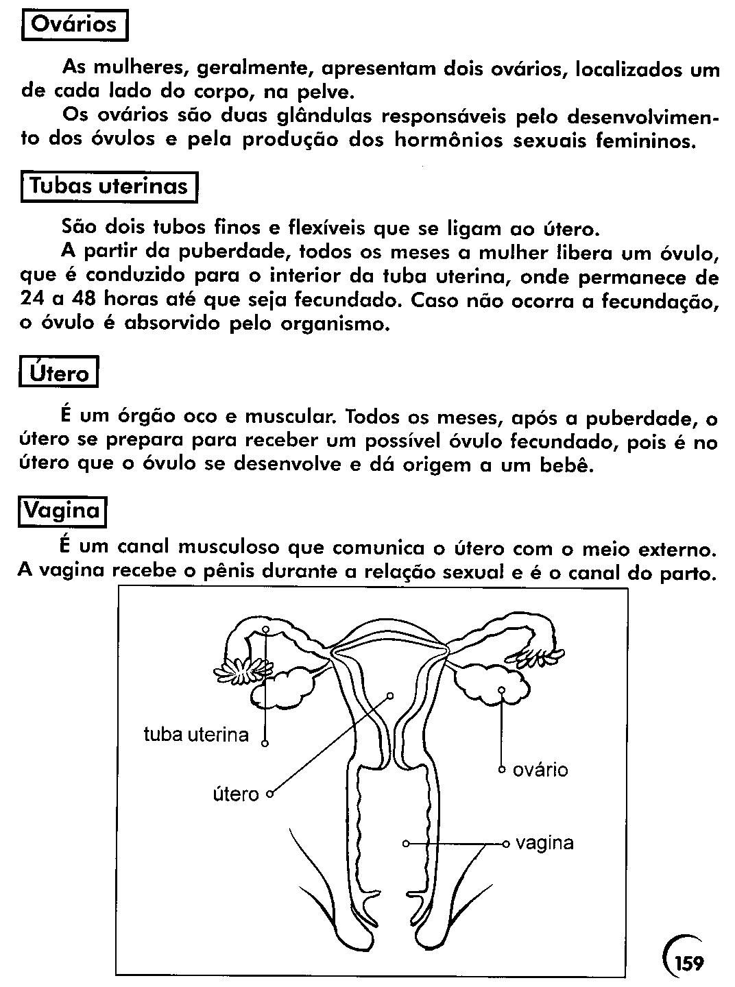 Resumo sobre fisiologia humana Resumo sobre fisiologia humana