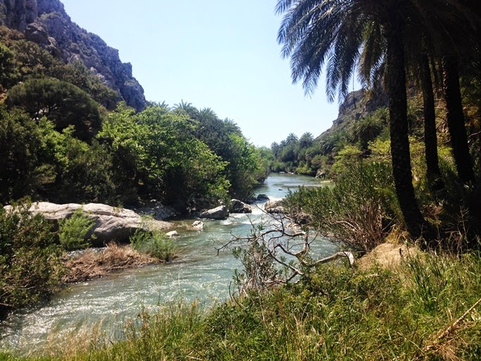 image6.jpeg