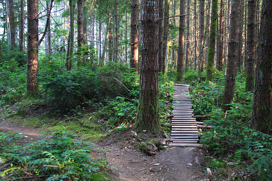 Banner Frame Photos Banner Forest