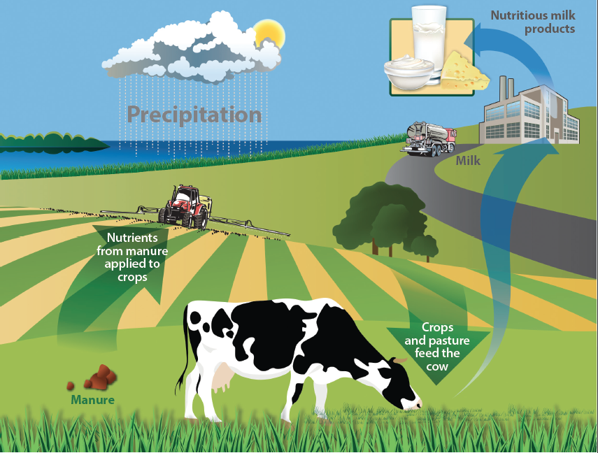 Sustainability Where Does Dairy Fit In? Our Earth...Our Products