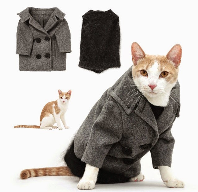 jual baju untuk kucing newhairstylesformen2014 jual baju untuk kucing newhairstylesformen2014