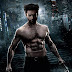Wolverine - Imortal