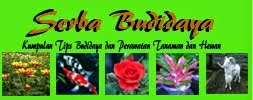Serba Budidaya