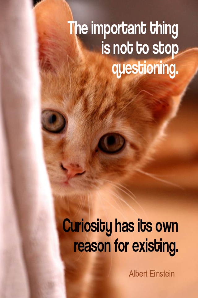 visual quote - image quotation for LEARNING - The important thing is not to stop questioning. Curiosity has its own reason for existing. - Albert Einstein