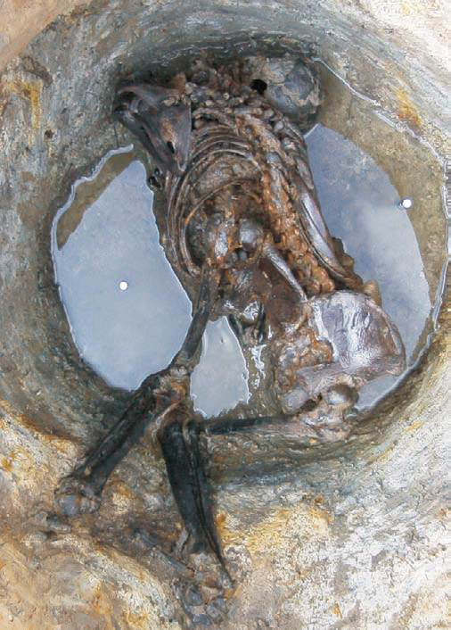 Mummification was common in Bronze Age Britain Mummification was common in Bronze Age Britain