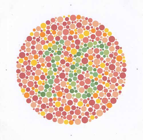 catatan Tri Fani Rahayu Tes Buta Warna part 1