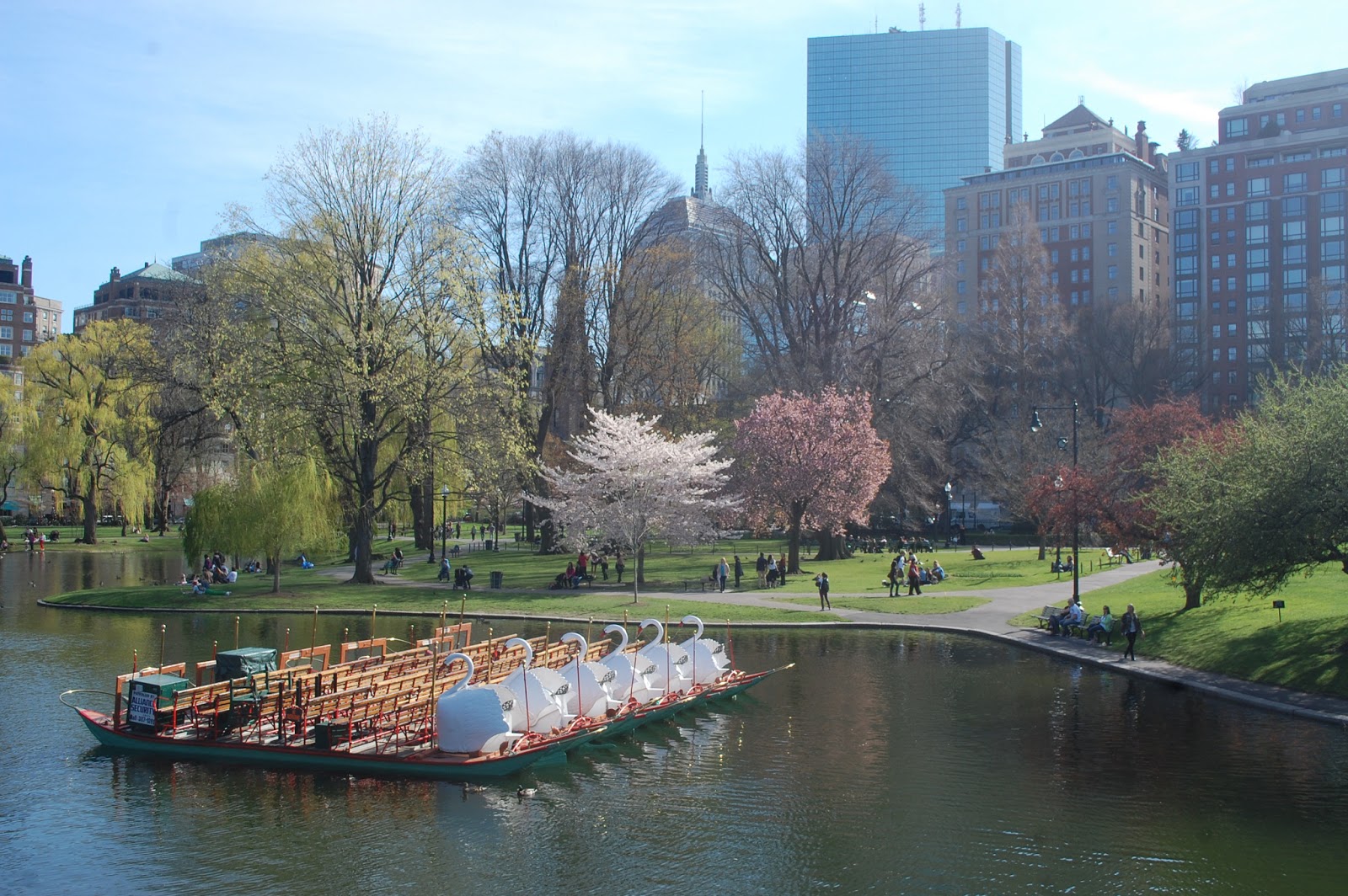 Sprouts Spring Flowers at Boston Common