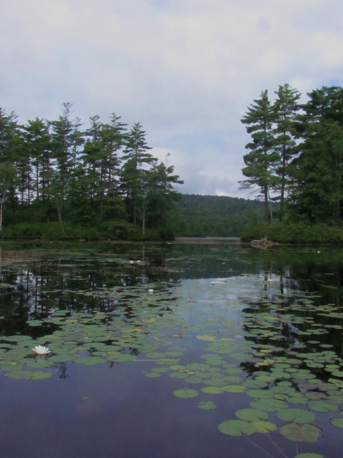 Recreational Kayaking in Maine Bridgton, Maine Moose Pond (Shawnee
