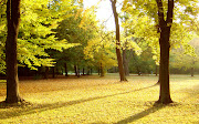 Bello wallpaper de un campo en otoño bello wallpaper de un campo en otoã±o