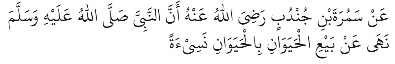 Penjelasan Hukum Riba Bank Dan Asuransi Ponpes Prof Dr Hamka