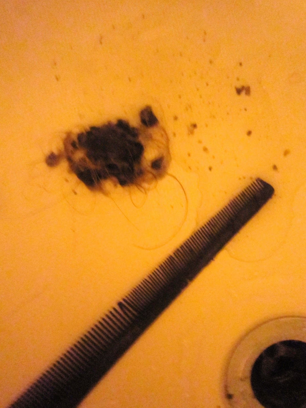 McGalver An Easy Way to Clean Out Your Shower Drain