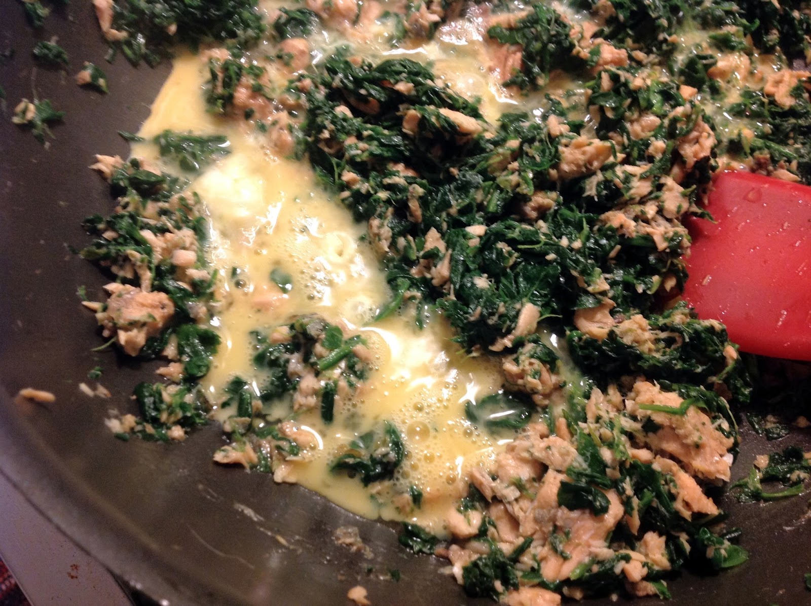 the dog mom salmon and spinach dog chow