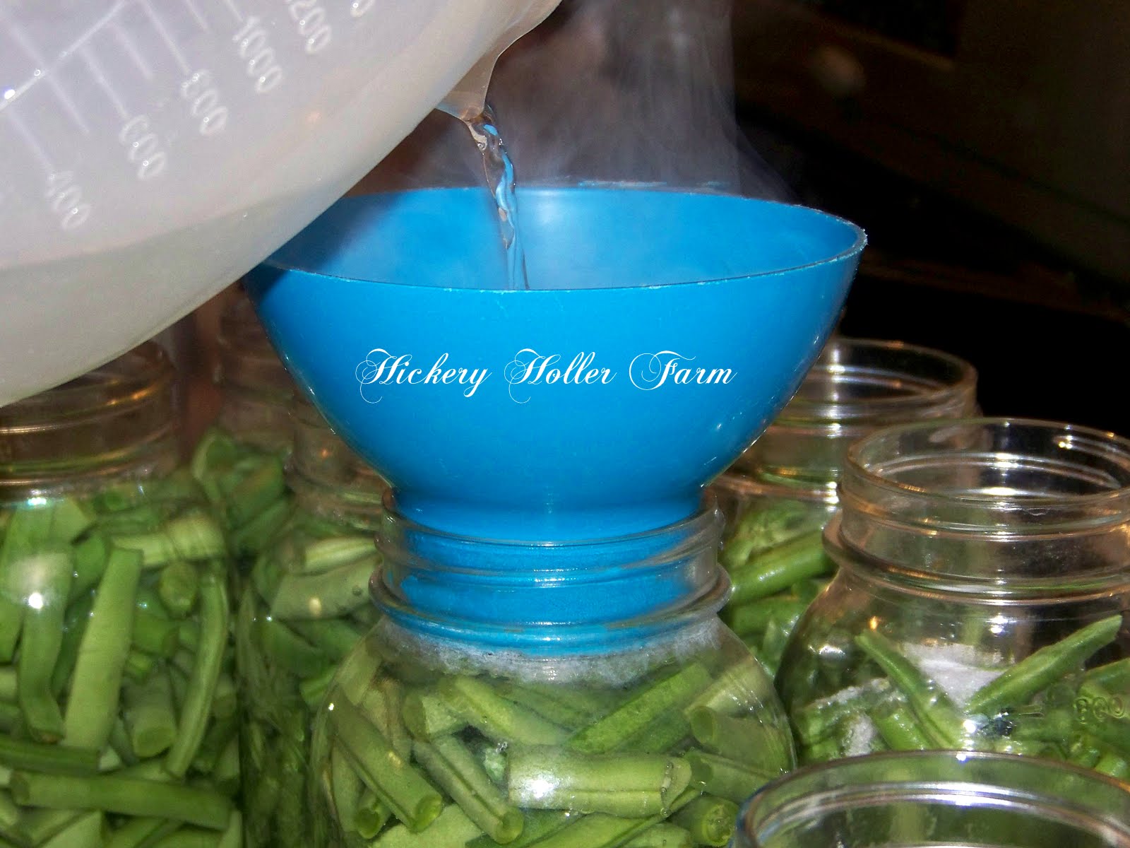 Hickery Holler Farm Canning Green Beans