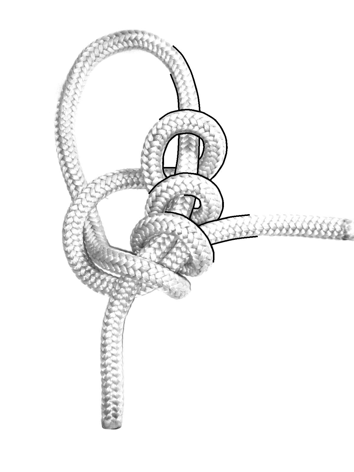 Amazing How To Draw A Knot Don t miss out howtopencil1