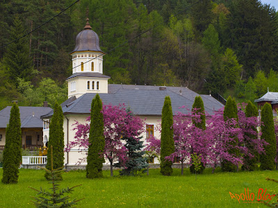 Manastirea Sfantul Ilie - Toplita