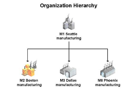 organization hierarchy