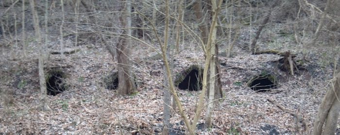 Coke ovens or Hobbitton? Great Allegheny Passage