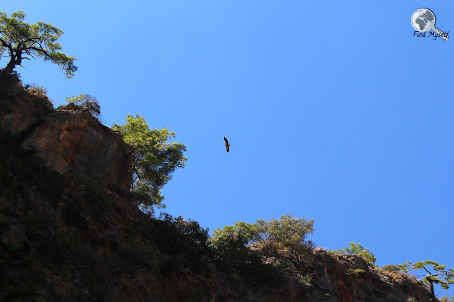 Agia Irini Gorge, Crete