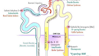 diuretic