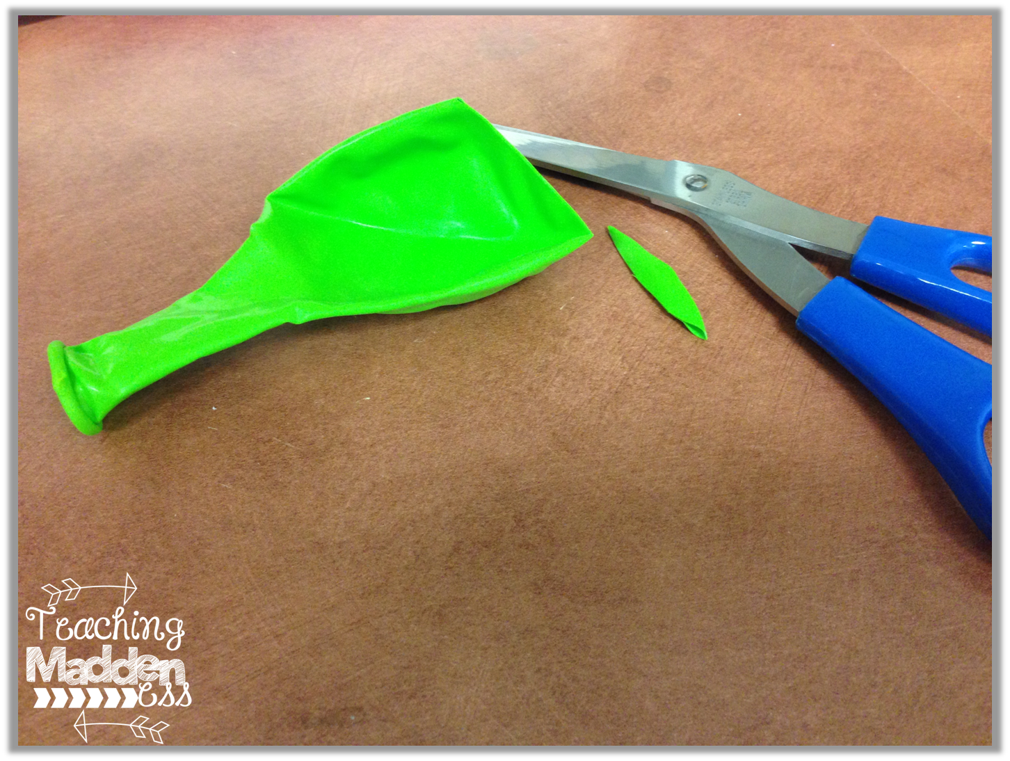 Marshmallow Shooters {Force & Motion} & a Freebie Owlways Be Inspired