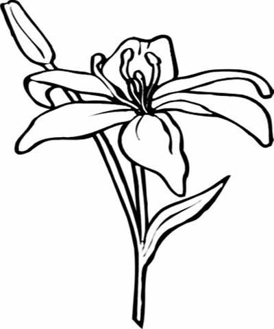 Flower Coloring Sheets on Flower Coloring Pages