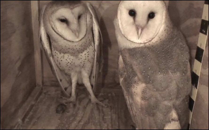 Adventures With Mel Syd Friday June 15 2012