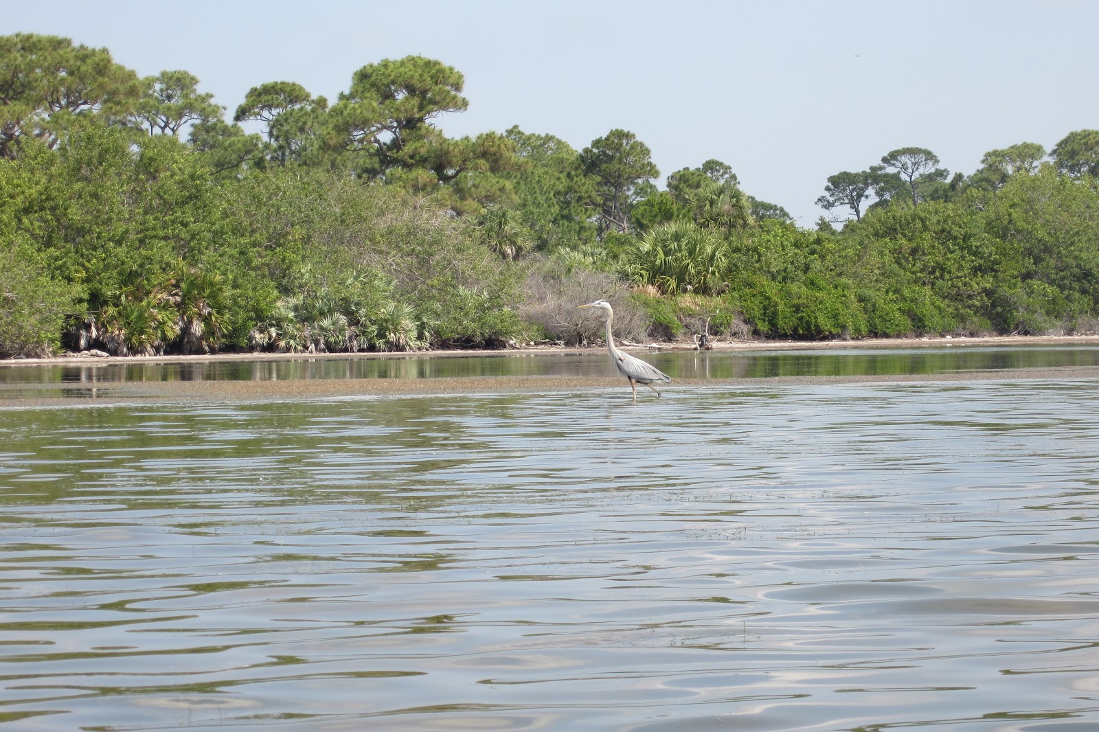 Dave's Yak Tales Banana River