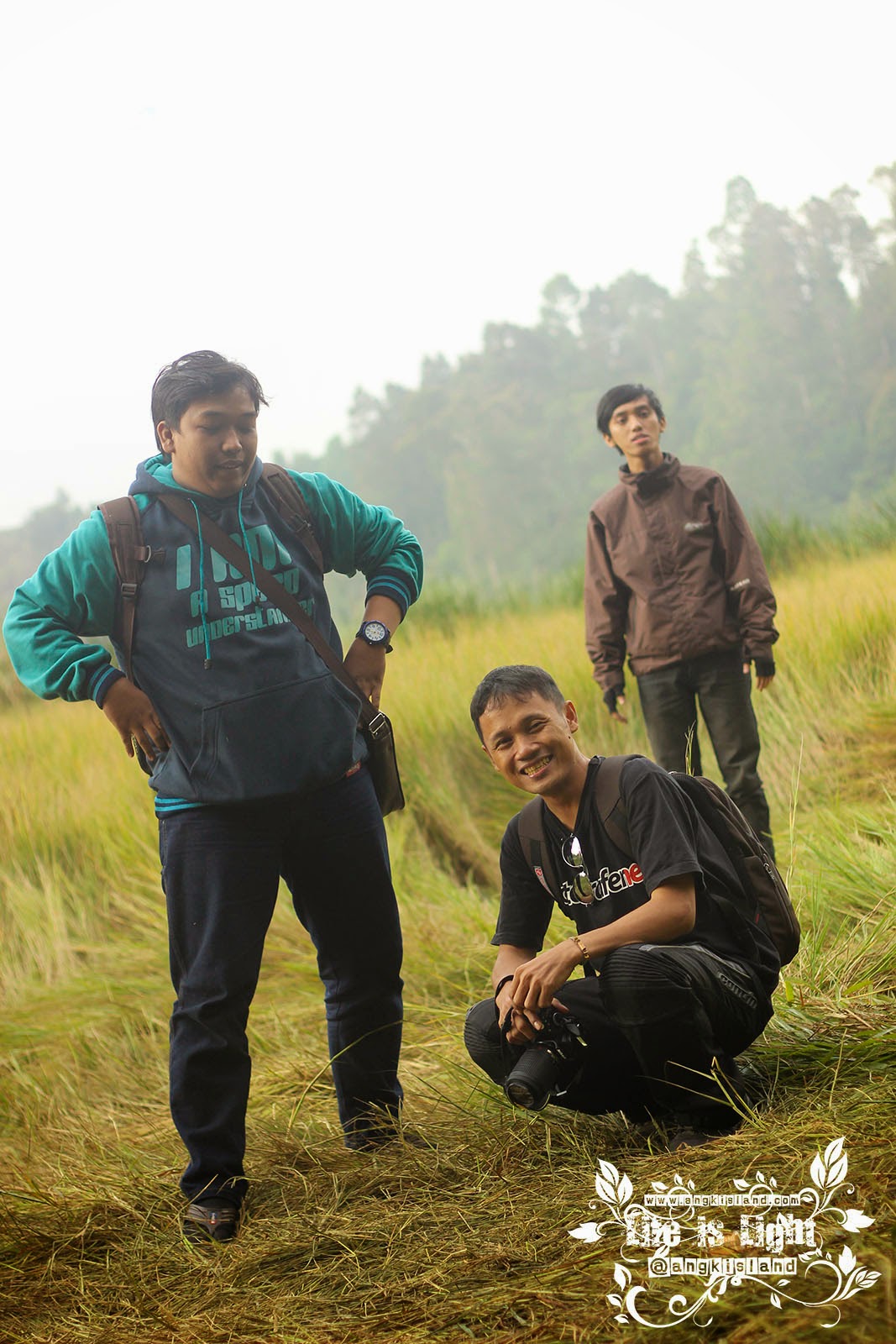 Rumput Wlingi Dieng Rumput Wlingi Dieng