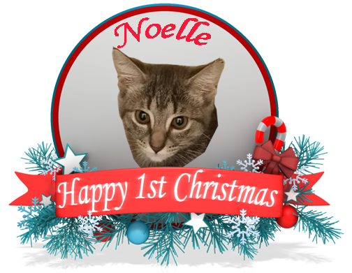 Noelle's first Christmas