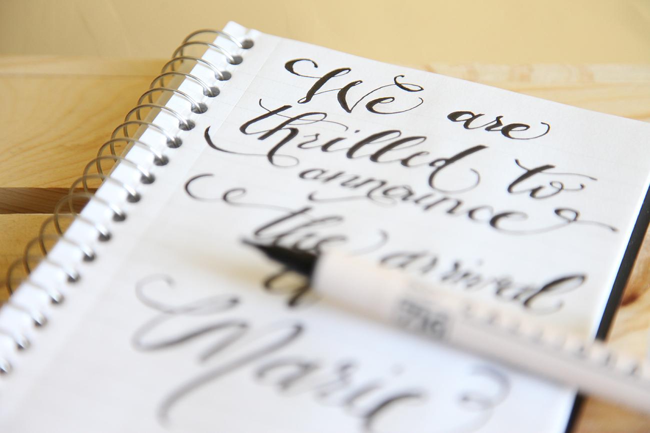 Unify Handmade Calligraphy Pen from Target