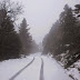 (ΕΛΛΑΔΑ)Στενή: Τα πρώτα χιόνια στην Εύβοια-ΦΩΤΟ