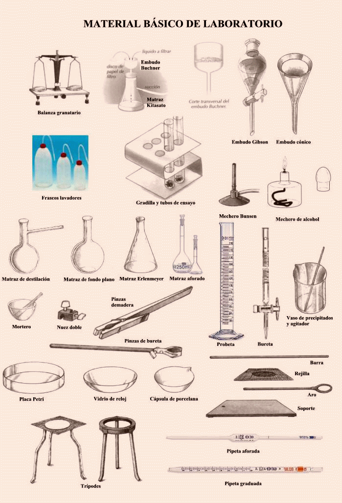 INSTRUMENTO REALIZAR EXPERIMENTO LABORATORIO QUIMICA instrumento realizar experimento laboratorio quimica: