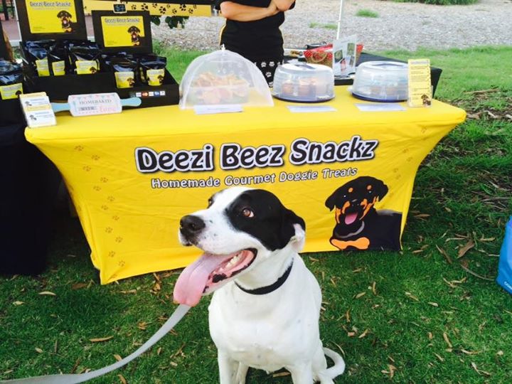riverside barkfest bayswater wa november 22 australian dog lover bark works riverside