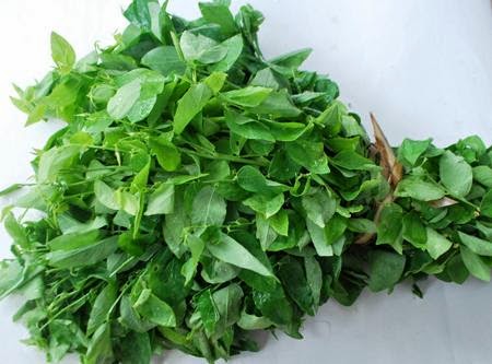 [Image: hiem-muon-nam1.jpeg]