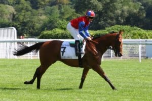 VOIR ARCHIVES 28/05/2017-CHANTILLY
