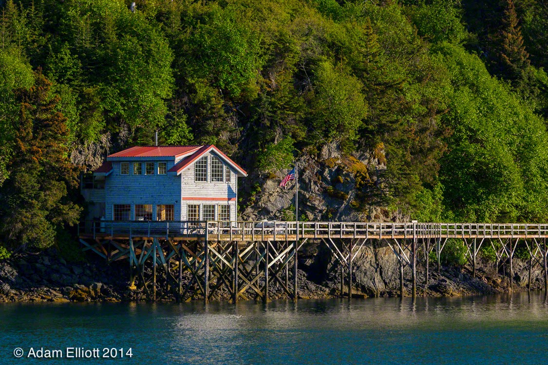 Atom's Picture Blog Halibut Cove, Alaska
