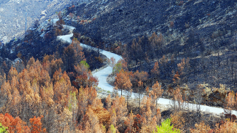 CORTES DE PALLÁS