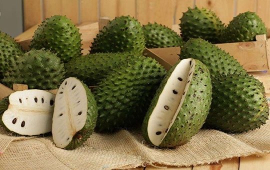 Sirsak untuk kanker Sirsak untuk kanker