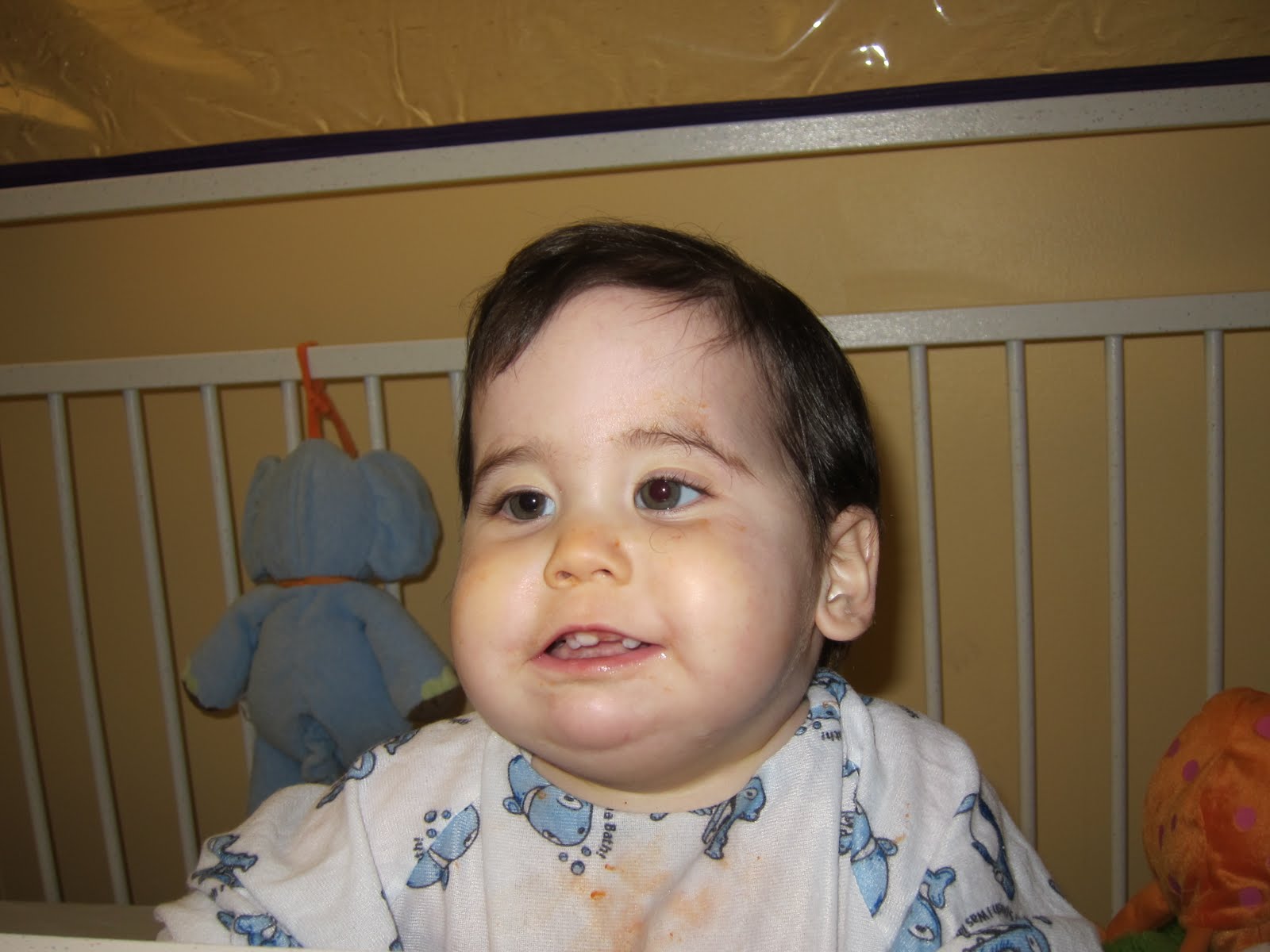 Family of Four Steroid Baby