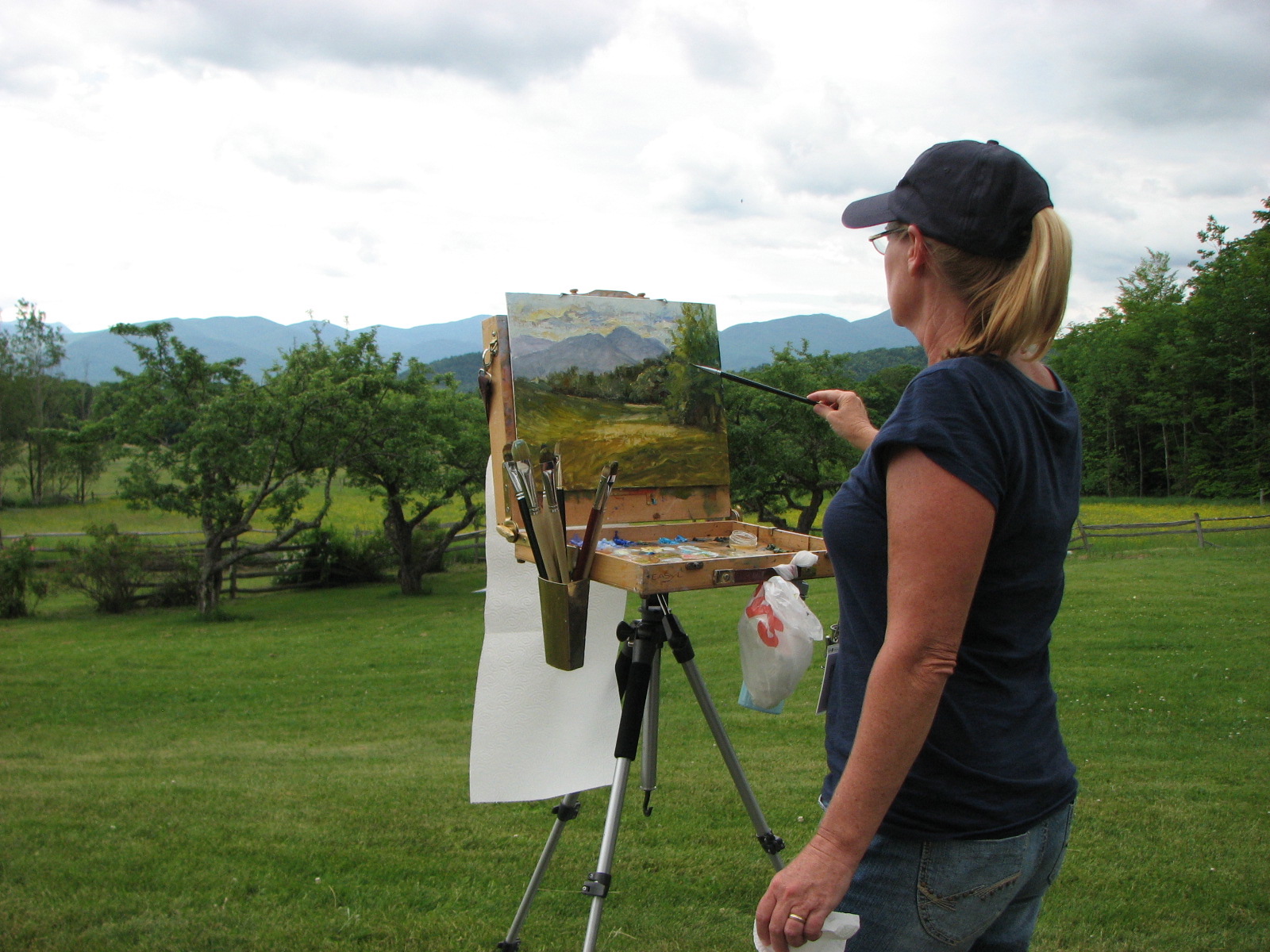 Plein Air Painting Journal Adirondack Mountain Painters